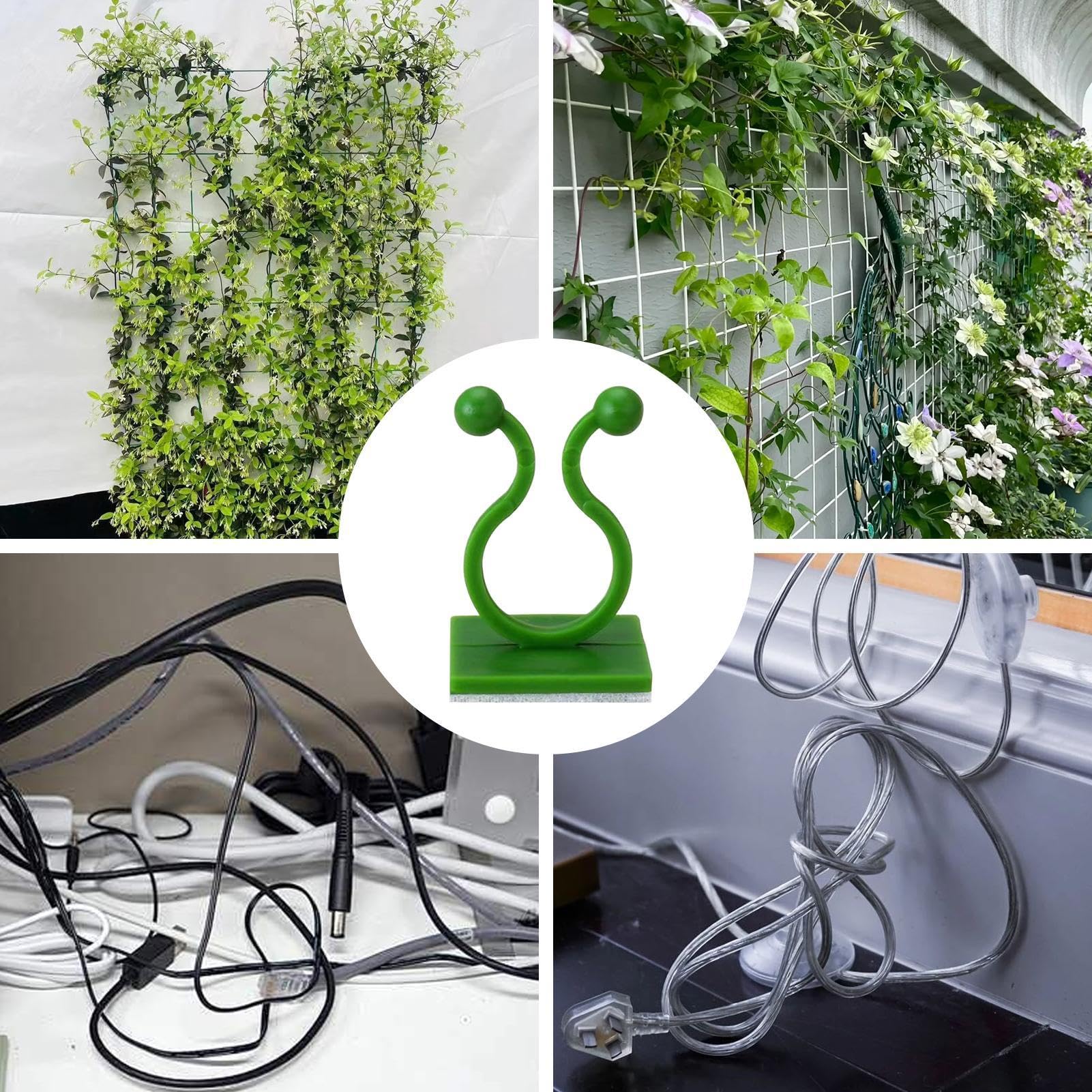 View 5