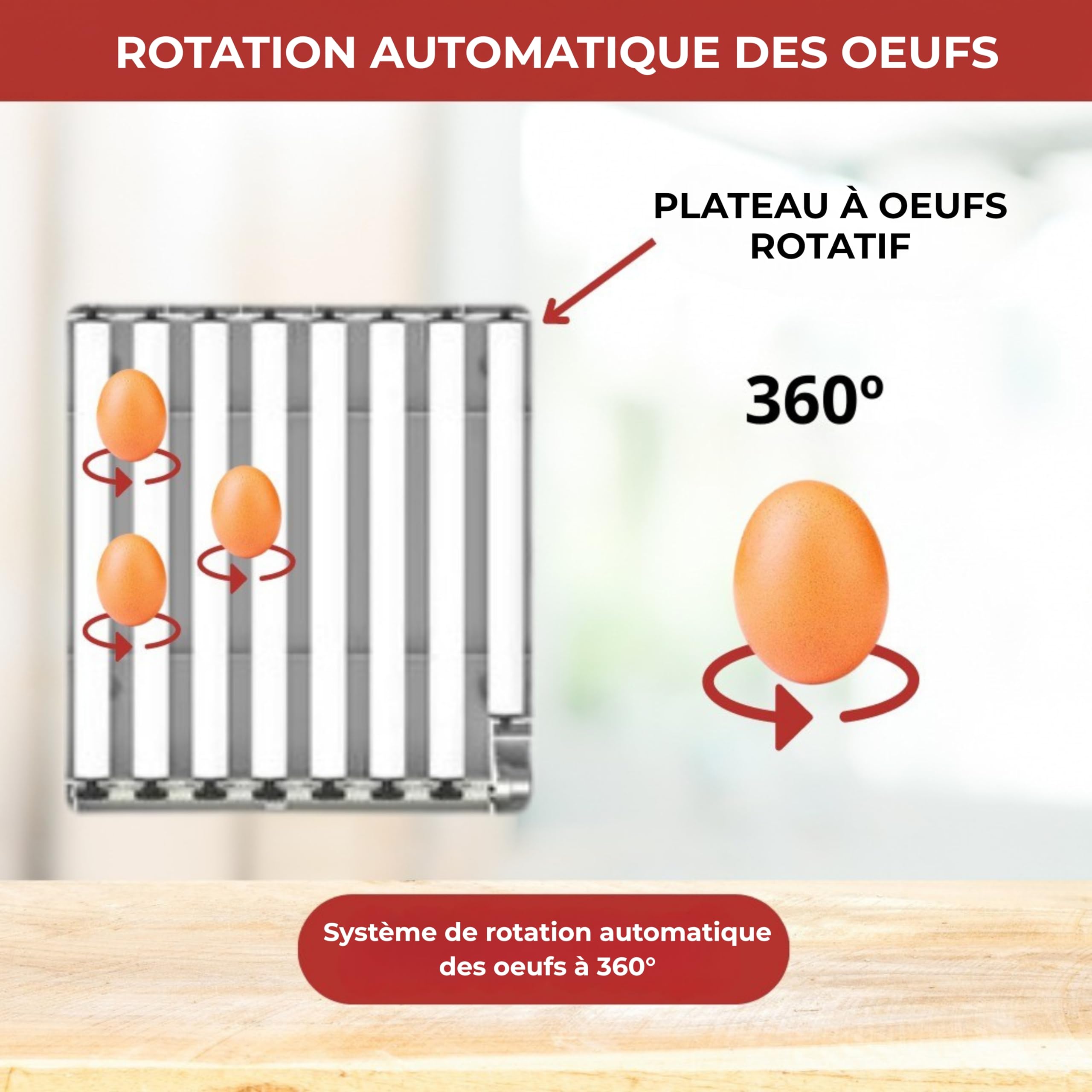 Arcanix Couveuse Oeuf Automatique Professionnelle 30 d'œufs poule ou 75 Œufs de Caille – Incubateur Œuf avec Volteo Rotation Contrôle de Température et Humidité Thermomètre et Hygromètre