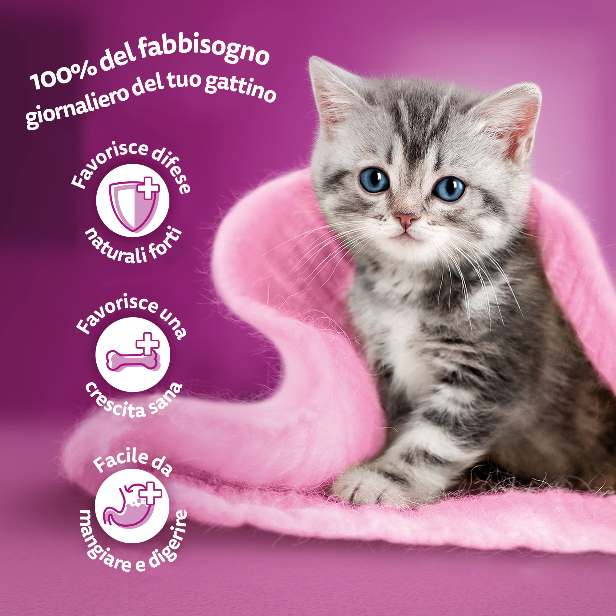 Whiskas Kattenvoer, Hoogwaardig Nat Voer In Verschillende Smaken, 84 Porties