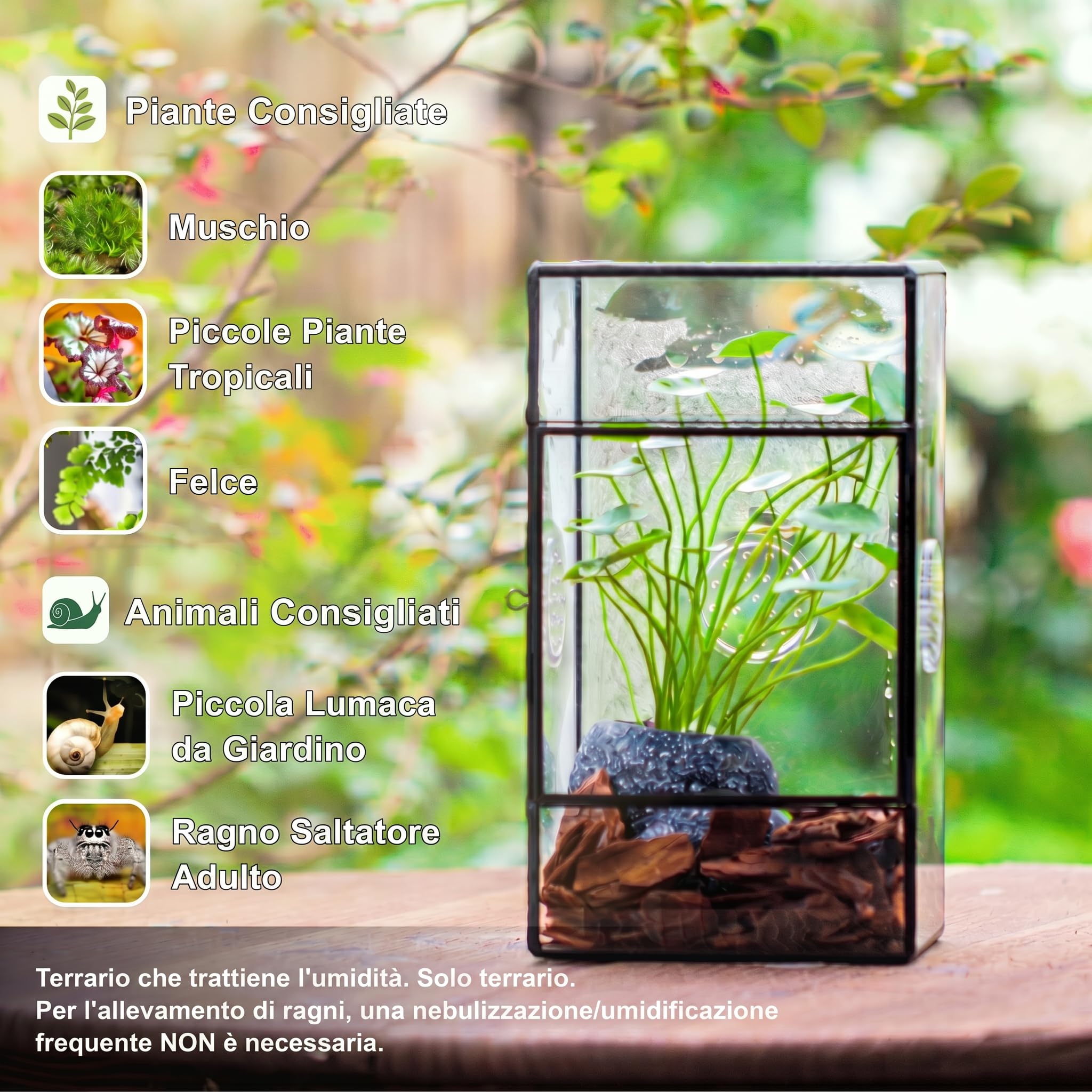 NCYP Terrario rettangolare in vetro con porta laterale e tre fori di ventilazione fatto a mano,13x10x23 cm, nero geometrico terraio per piccoli insetti, decorazione per casa e giardino (solo terrario)