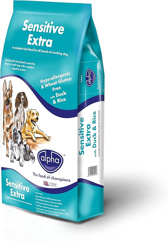 Best Dog Food For Colitis UK Alpha Pets UK