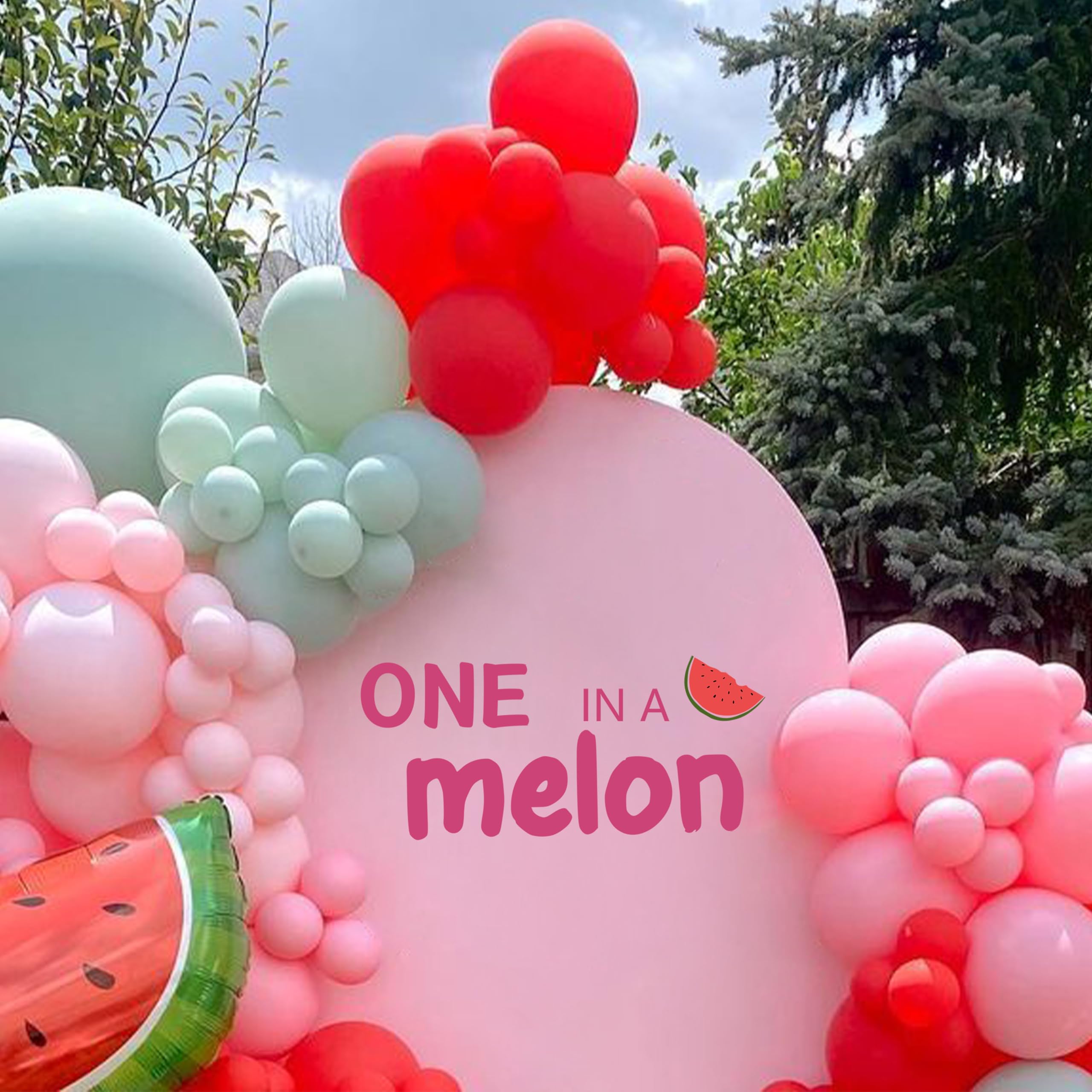 CANTLY One in A Melon Party Decal, Watermelon First Birthday Party Supplies, Watermelon Birthday Party Sticker, One in a Melon Backdrop (One in A