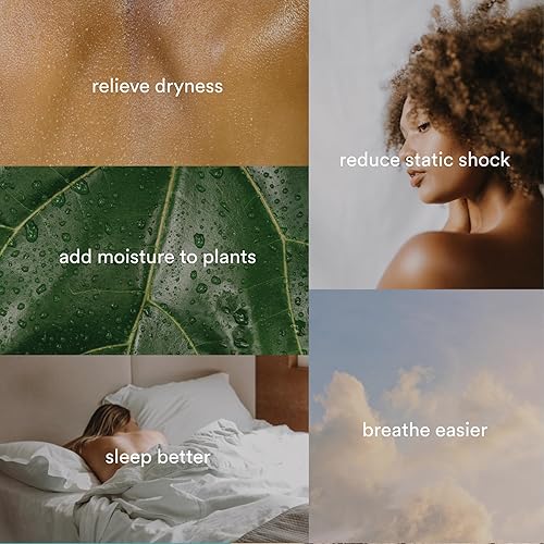 Miniatura 7 de Homedics Humidificador ultrasónico, dormitorios y oficinas en casa, tanque de 0.97 galones, tiempo de funcionamiento de 45 horas, niebla fría