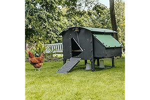 Plastic Chicken Coop Plans For 6 Chickens | Ideal Coop For New Chicken Keepers