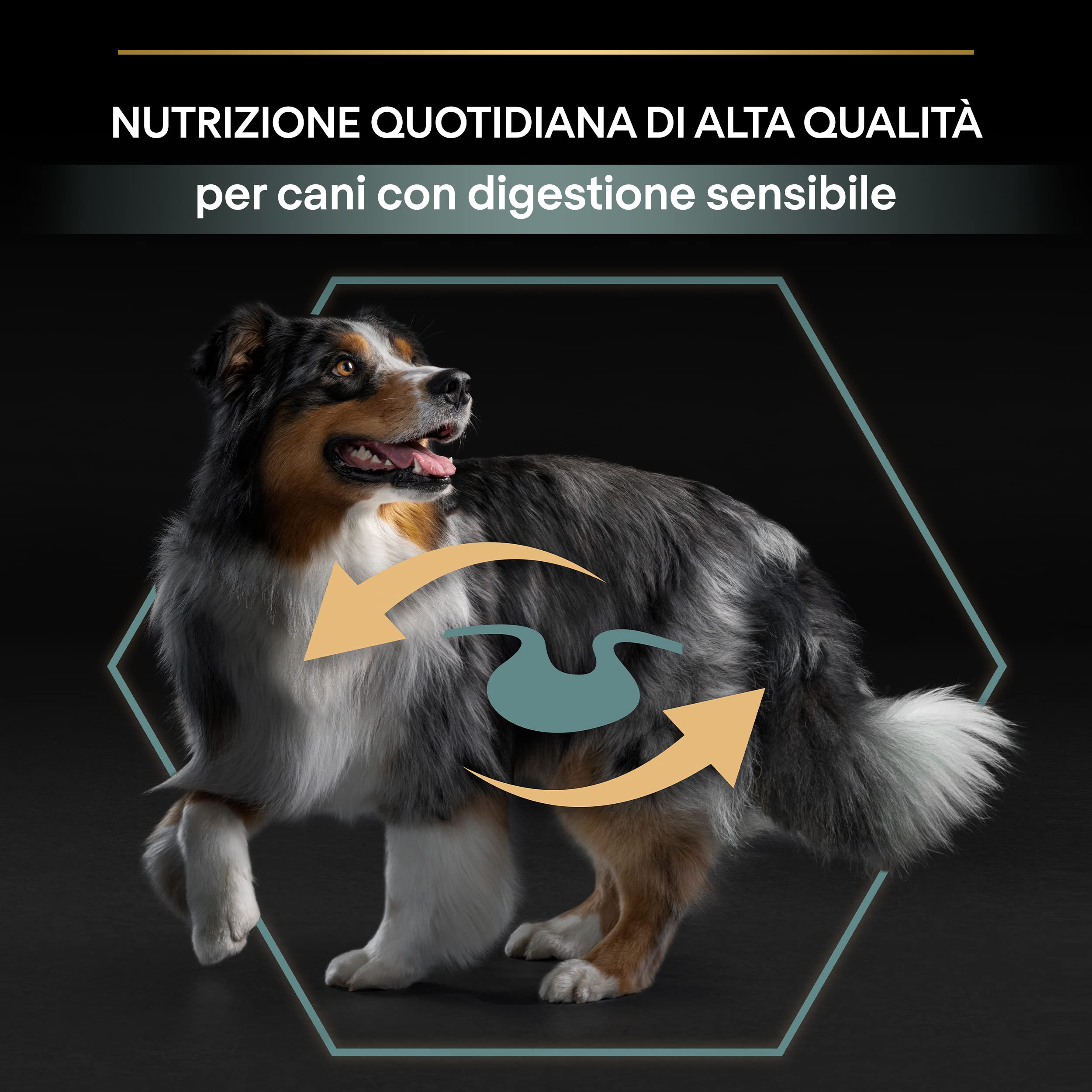 PURINA PRO PLAN Sensitive Digestion Medium krokiety dla dorosłych psów z jagnięciną, 4 worki 3 kg
