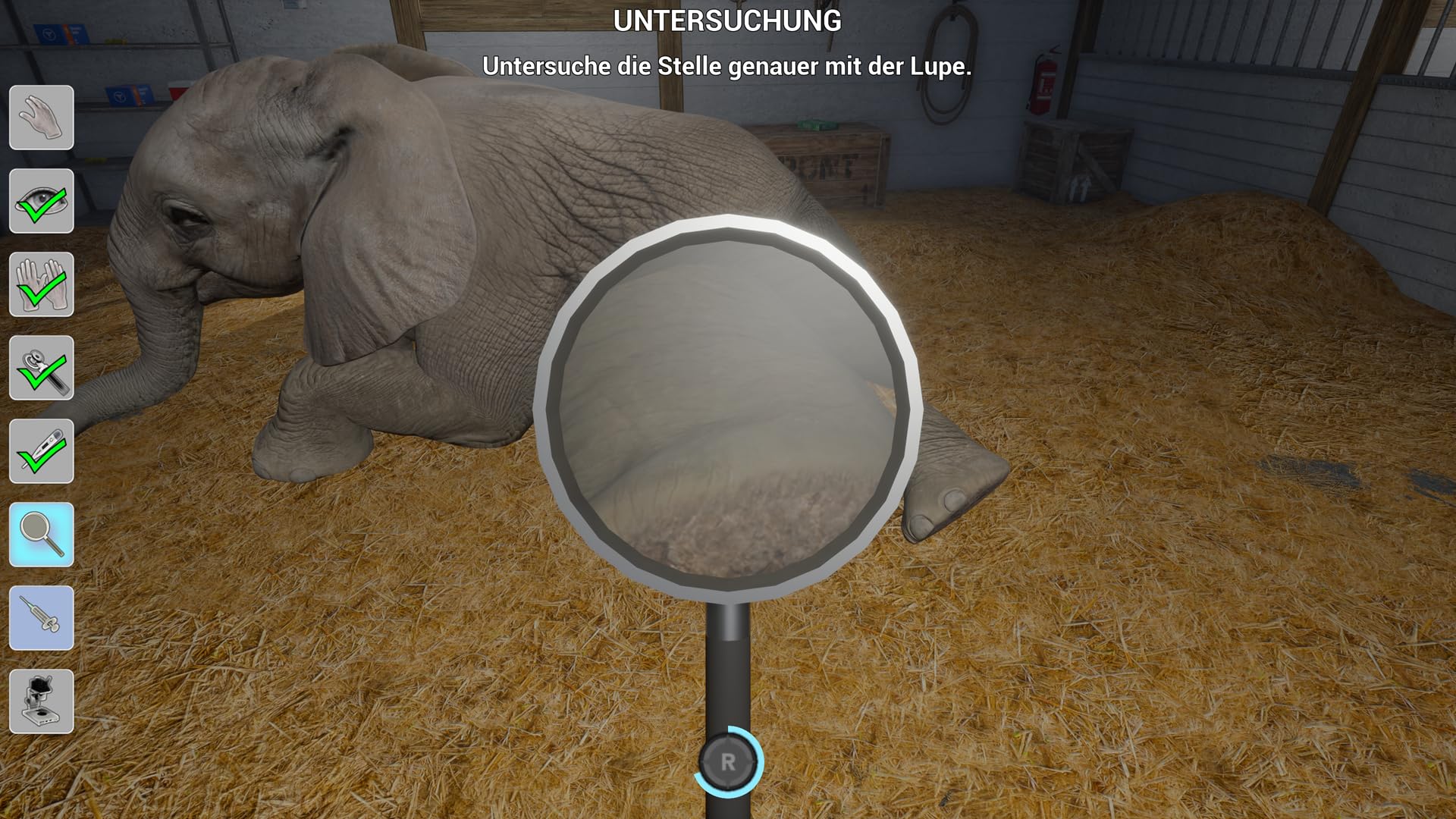 Meine Tierarztpraxis im Zoo - Tierklinik für Switch