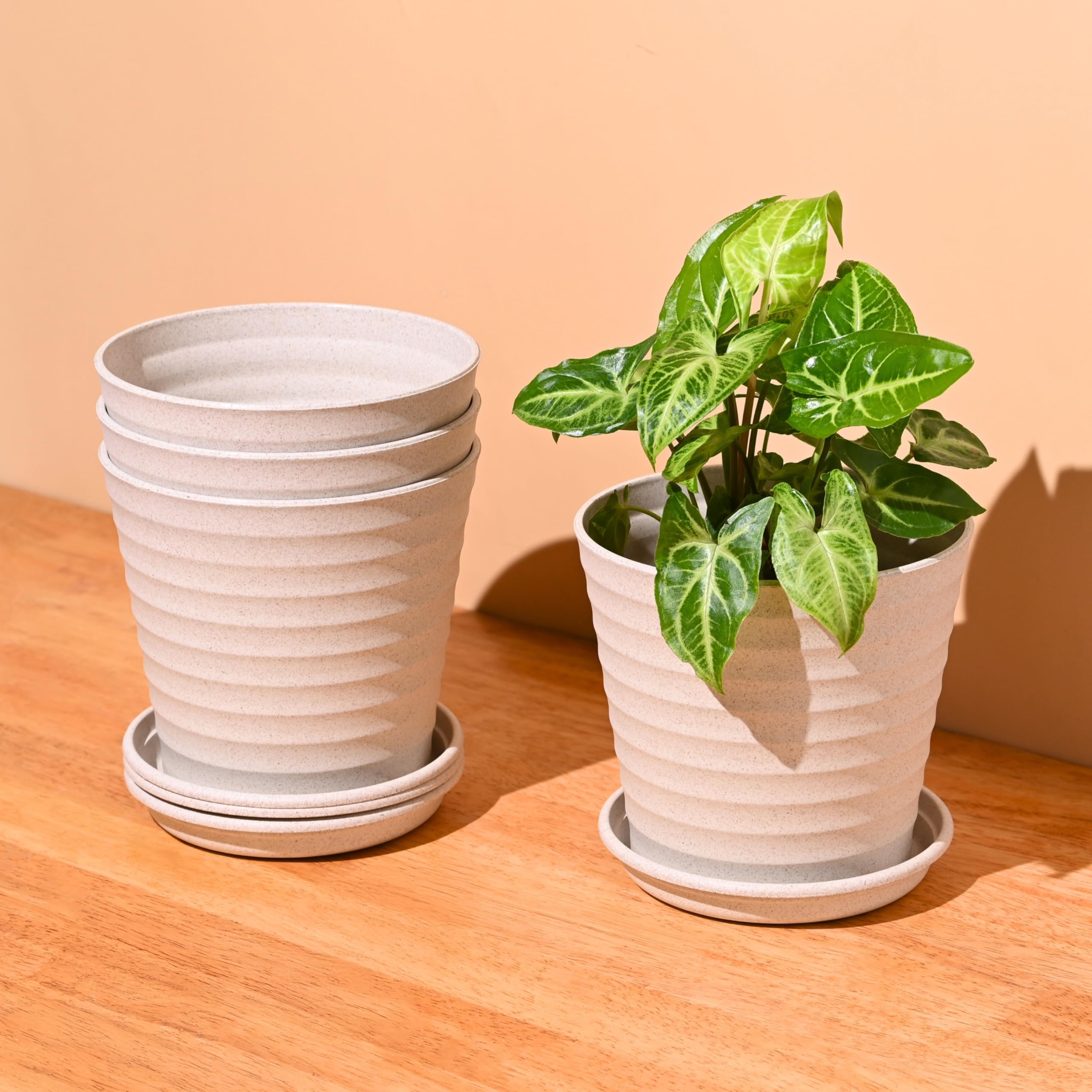 Eha Set of 4 Earth-Friendly Linea 5.5" Pots for Plants | Bamboo Based Plant Pots | UV Protected | Flower Pot for Indoor, Home Decor, Outdoor, Balcony & Garden | Sand Castle-image-24