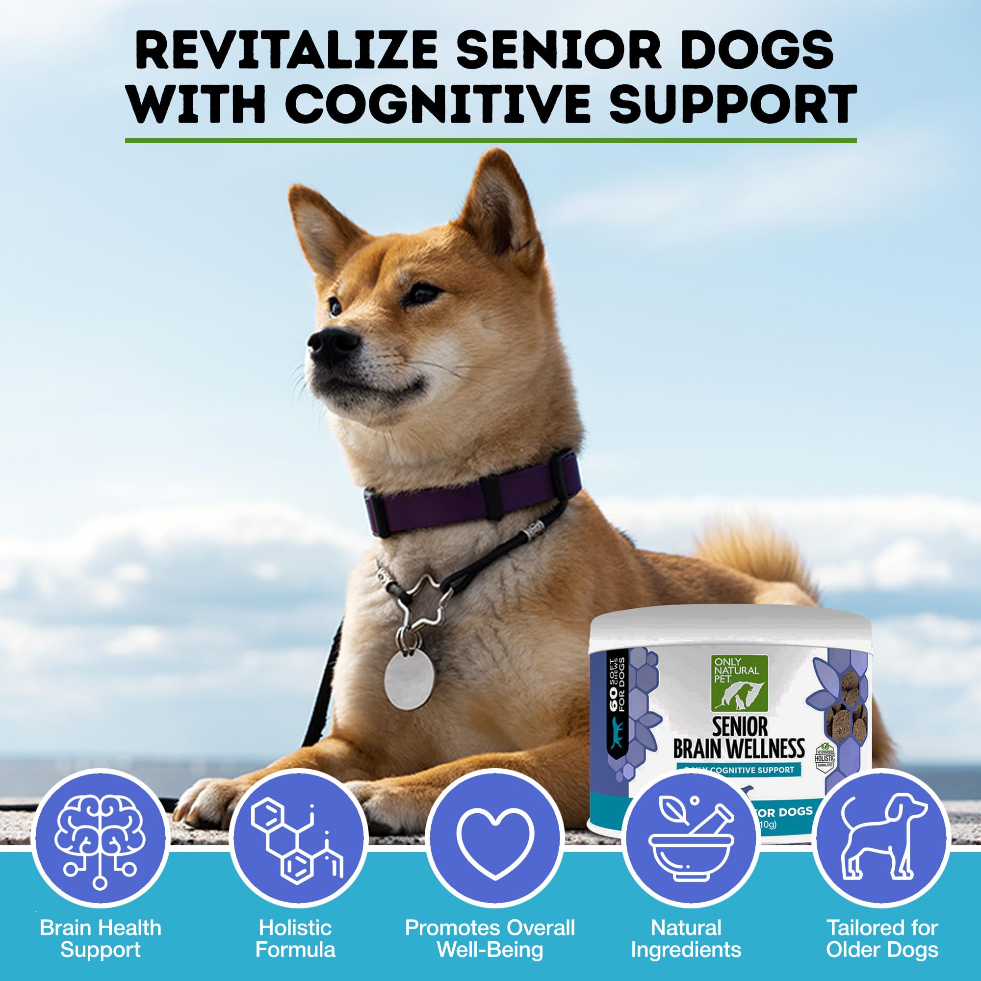 ONLY NATURAL PET Senior Brain Wellness Dog Chews - Small, Medium & Large Breeds, Toothless & Geriatric Dogs, Soft Chicken & Bacon Flavor Snacks, Baked Treats - 60 Count 2