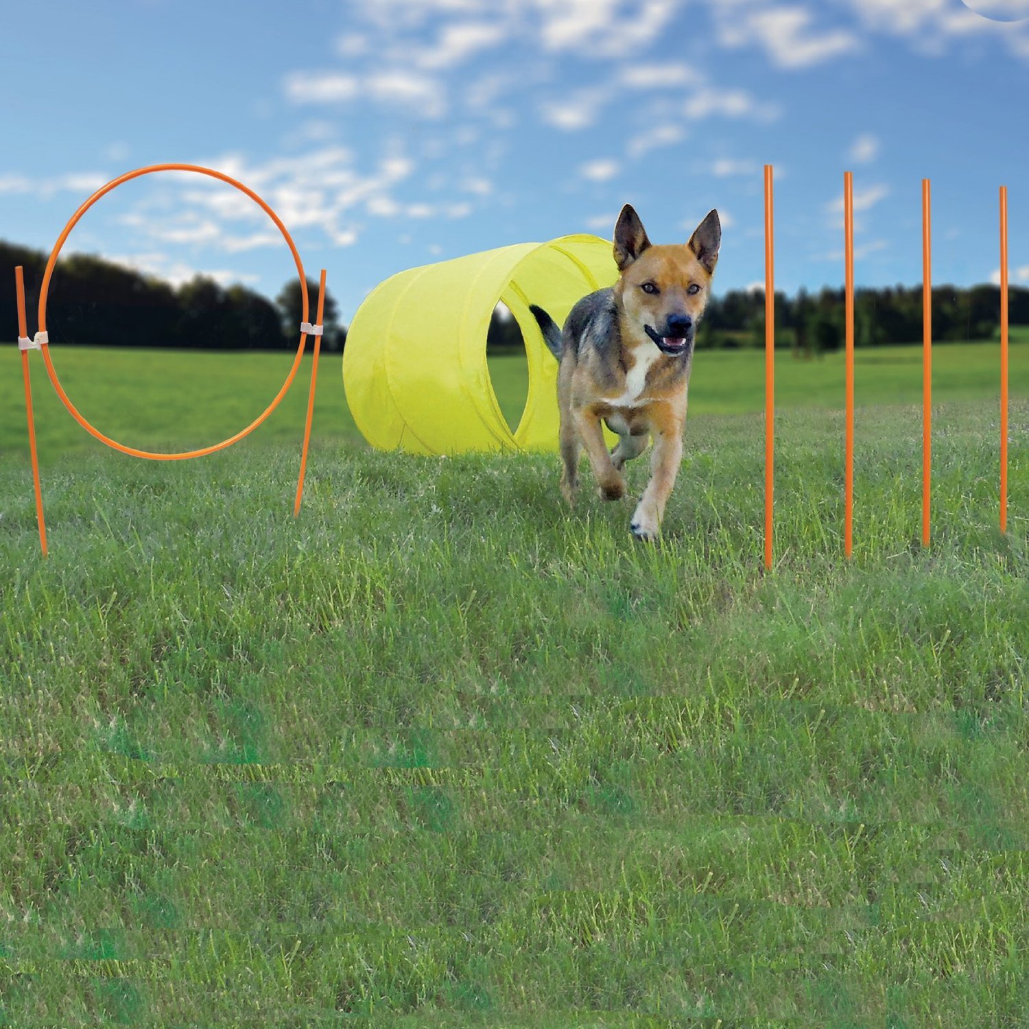 Outward 2528 Hound - Set de Entrenamiento de Agilidad de Perros ZipZoom, Multicolor (Naranja)