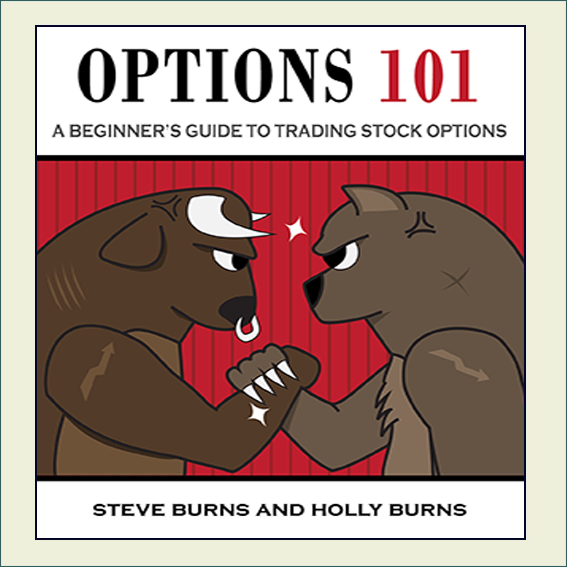 Cover art for Options 101