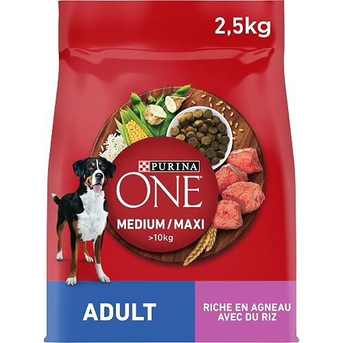 PURINA ONE Medium/Maxi Adult Cordero 2,5 kg
