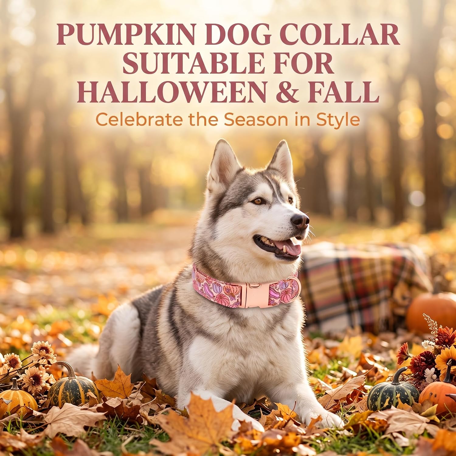 Tunkoo Fall Pumpkin Dog Collar, Pink Halloween Cotton Pet Collar with Rose Gold Buckle, Adjustable S/M/L/XL Festive Dog Accessory, S image 3