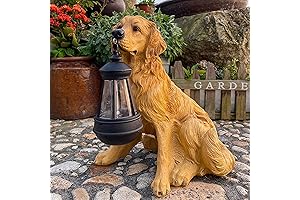 Lifelike Golden Retriever Dog Garden Statue with Solar-Lit Lantern