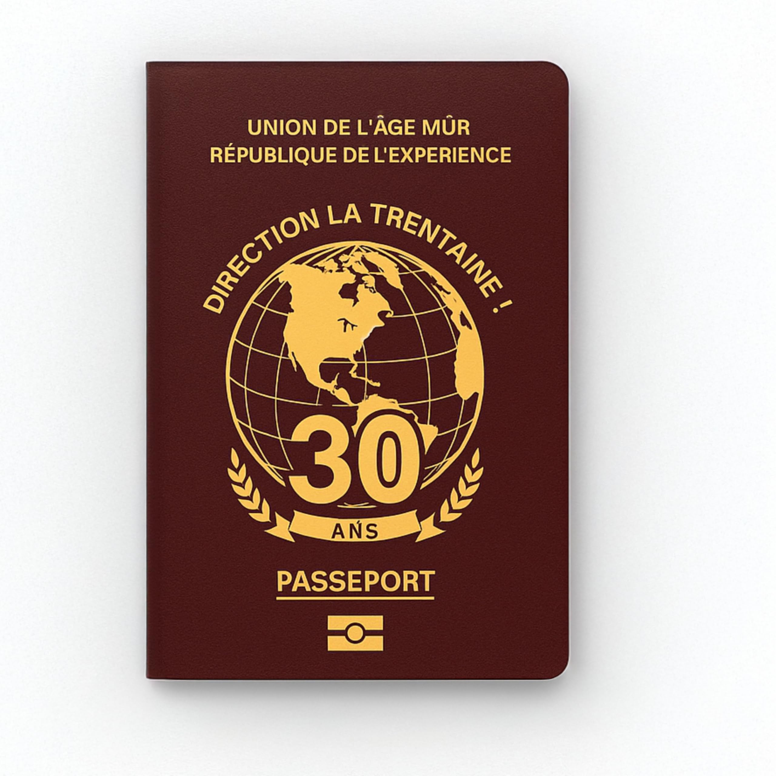 Passaporto per i trent'anni: Idea regalo originale per il compleanno dei 30 anni per uomo