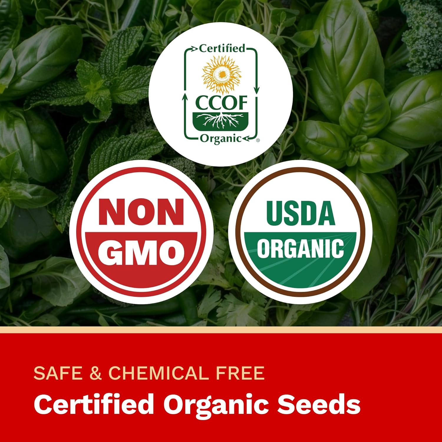 The Harvest Company Organic Pizza Garden Seed Collection – USDA & CCOF Certified Organic, Non-GMO, Open-Pollinated Seeds for Indoor & Outdoor Gardening, 195 Seeds Total