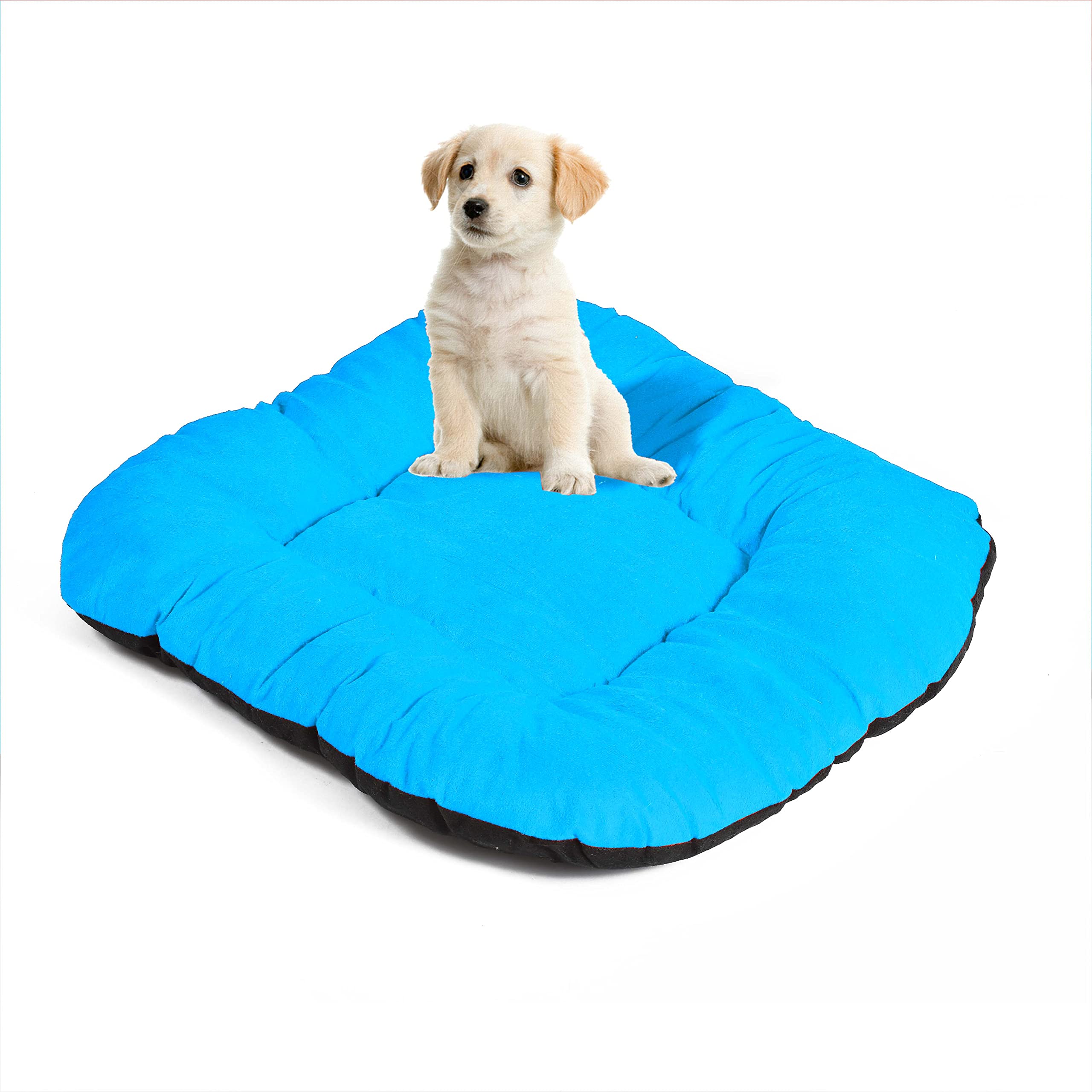 M-TEXITO Dog Bed, Cat Beds for Indoor Cats, Pet Bed for Puppy and Kitty, Extra Soft & Machine Washable (XL, Sky Blue) (B0C2CY1KQJ) Amazon Price History, Amazon Price Tracker
