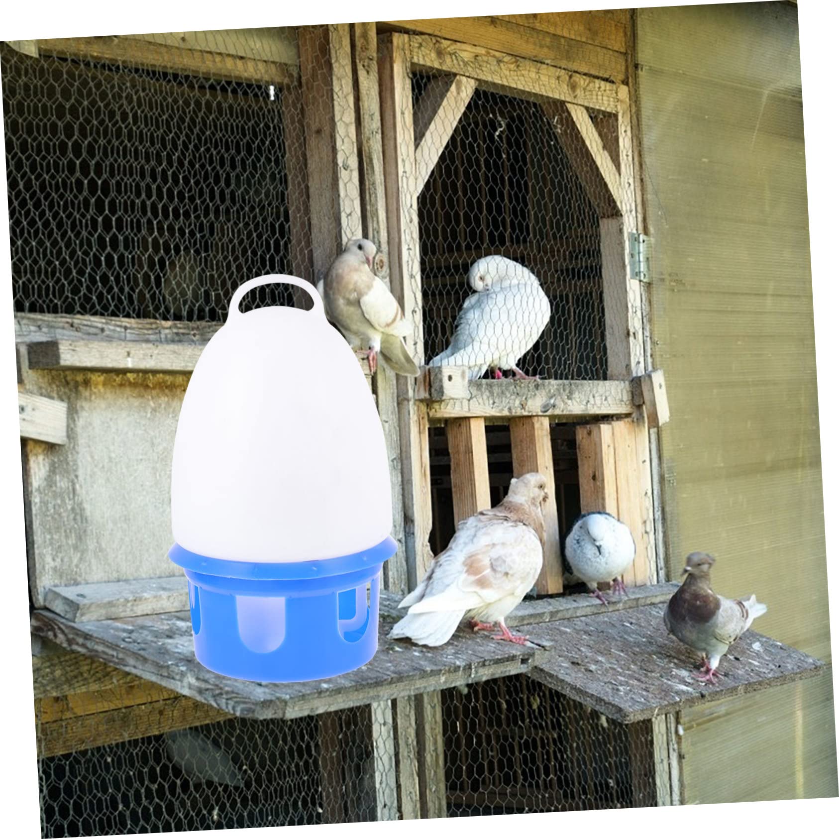 Bebedero de Agua para Palomas Automático, Azul, PVC, Redondo | Asa, Gran Capacidad, Desmontable, Apto para Palomas y Loros, Uso Doméstico