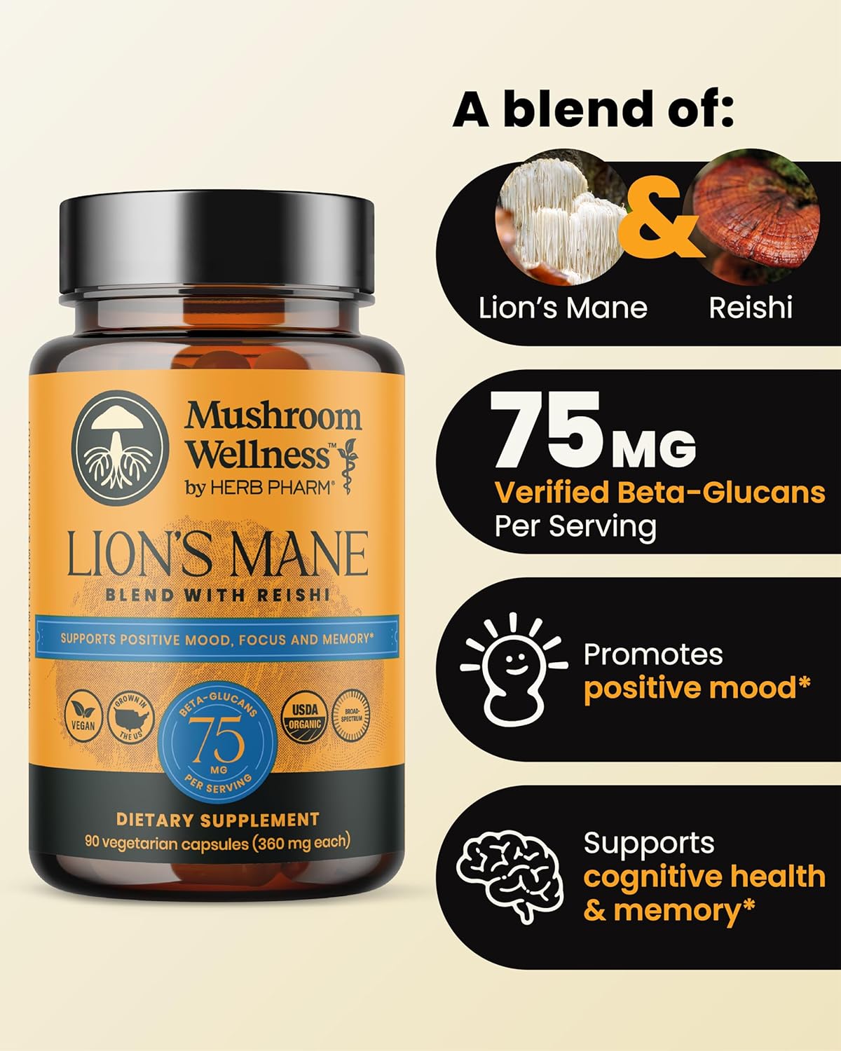 Mushroom Wellness Lion’s Mane Blend with Reishi: Organic Lion's Mane & Reishi Mushroom Capsules, Mushroom Powder Supplement, Supports Cognitive Health, Memory, and Mental Focus, 90 Vegan Capsules - Image 2
