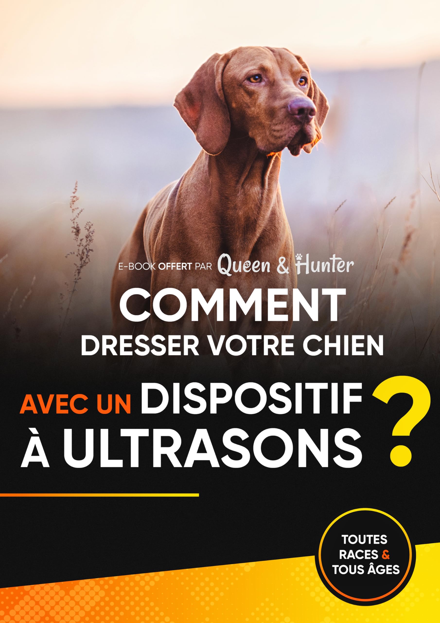 Anti Aboiement Chien Ultrason | Solution Dressage sans Collier electrique | Boitier Portatif sans Douleur | Dispositif Ultrasons sans Sifflet pour Dressage Petit et Grand Chiens | Repulsif Anti Chat
