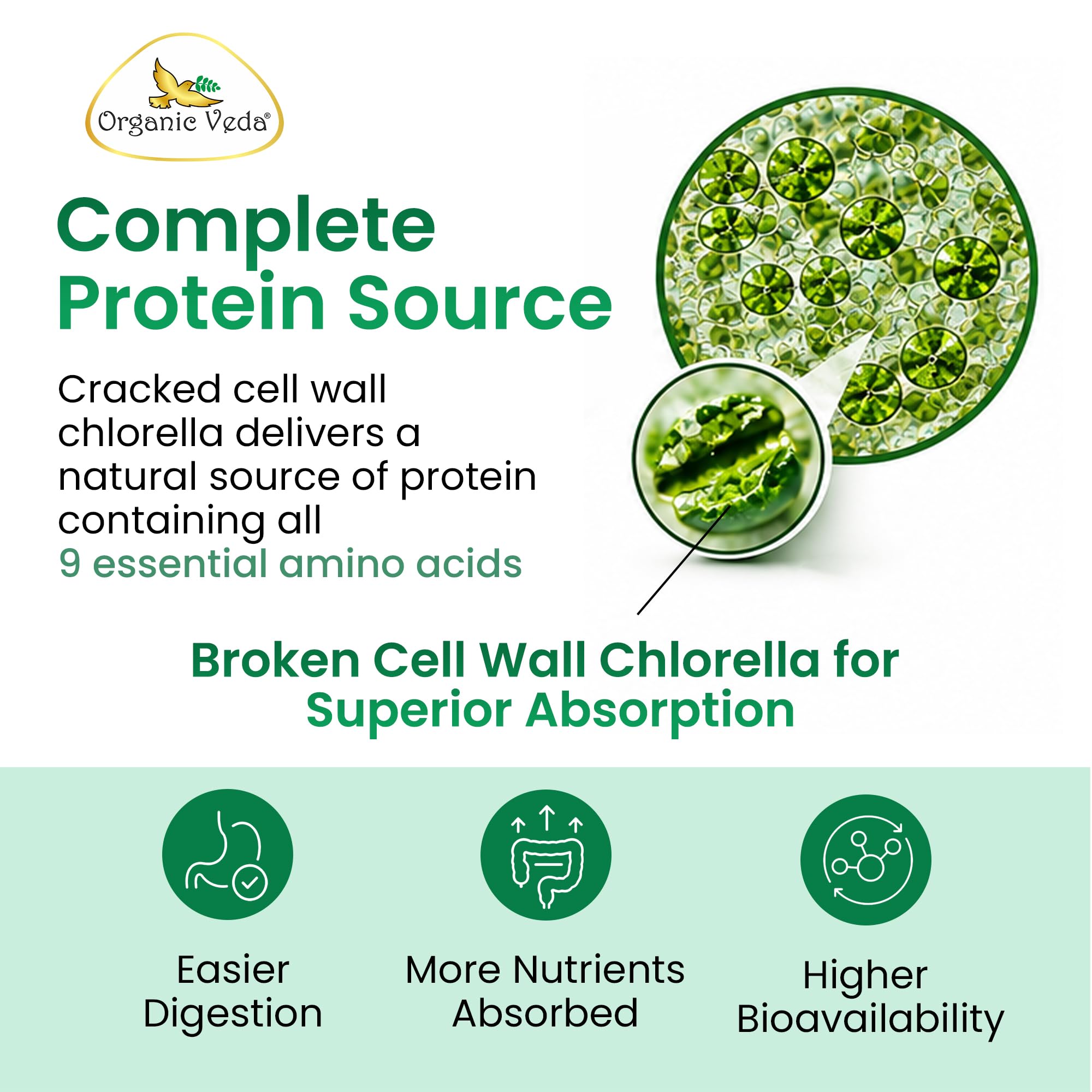 Organic Veda Spirulina Chlorella Capsules, 1500mg, 300 Count -Chlorella Spirulina Powder Supplement with Super Green Antioxidants, Phycocyanin, Amino Acid - Organic Chlorophyll Pills — Amazon image 6