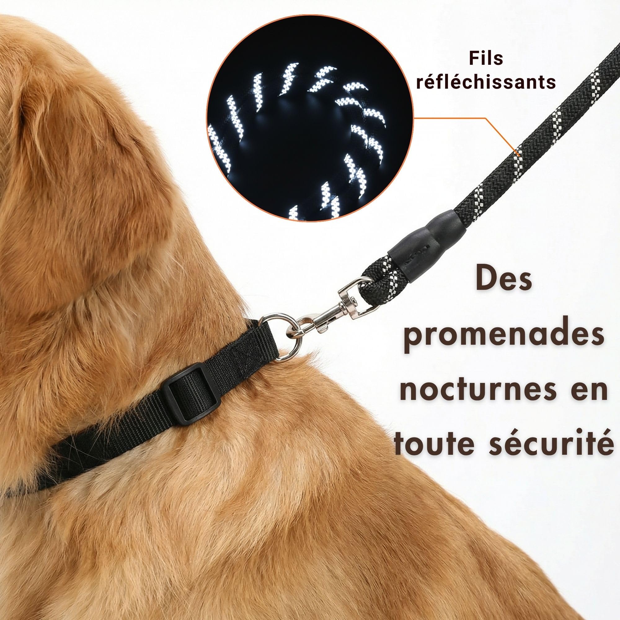 SOLDAY Laisse Anti Traction Chien 2m - Lasso Multiposition pour Toutou Qui Tire Fort - Longe Dressage Réfléchissante Grand & Moyen Canin Noir