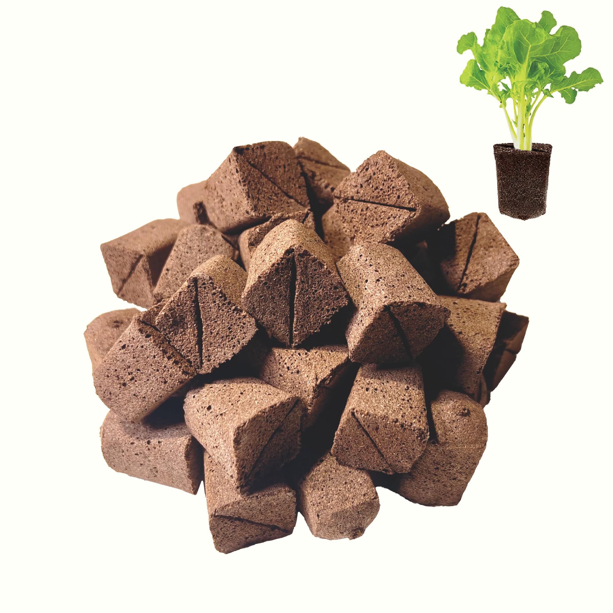 Haligo 50 Pcs Square Hydroponics Pods, Seed Starter Plugs Rapid Rooter, Grow Sponges for Cactus, Succulent, Replacement Cubes for Seeds or Cuttings