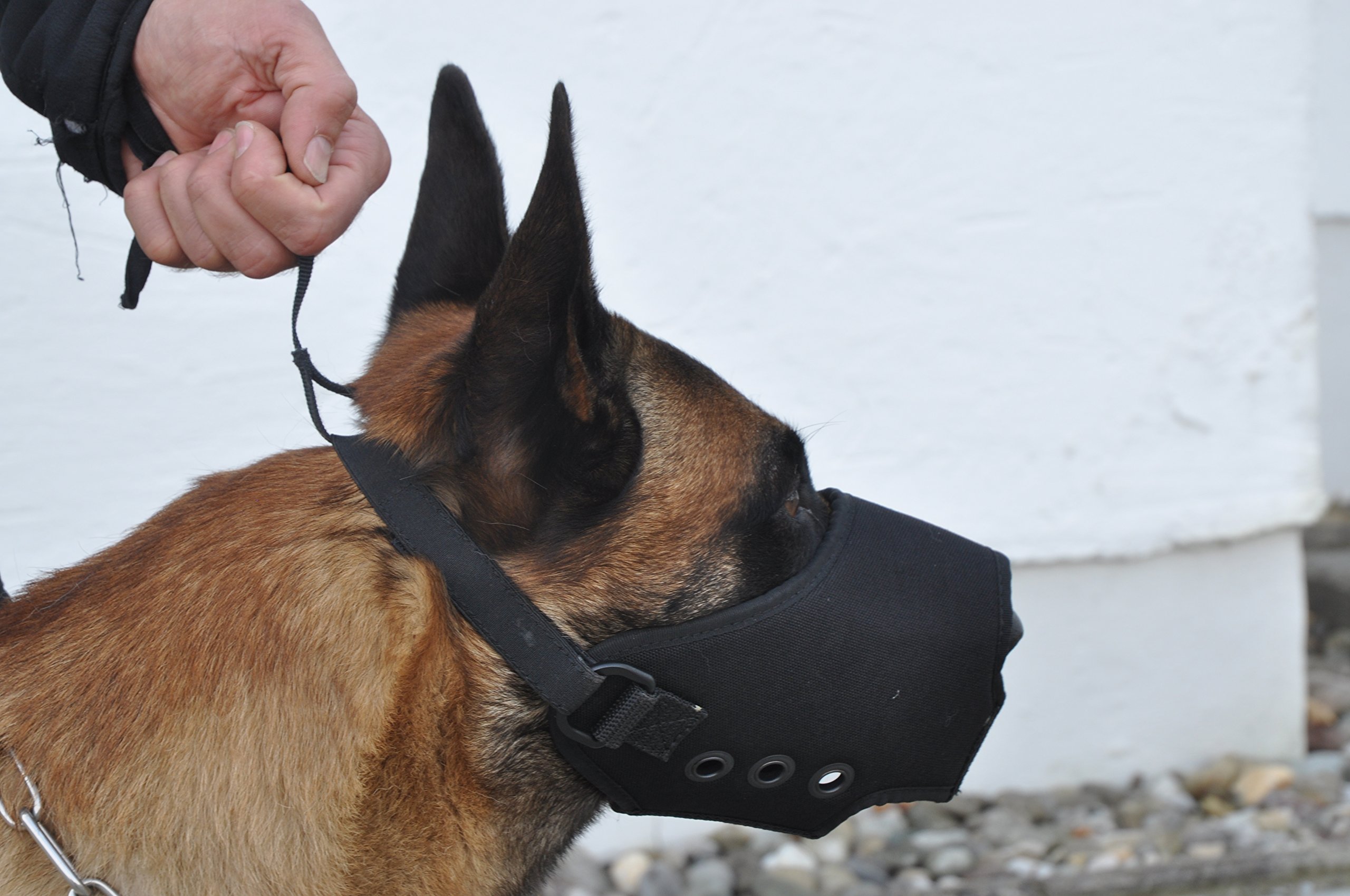COP® K9 Beisskorb Quick Release (schnell abnehmbar), Cordura® / schwarz, Gr. L