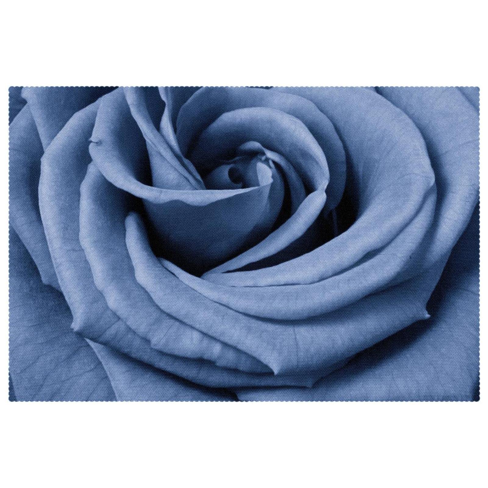 Set de table rose bleue fini les taches et glissades lot de 6 protecteurs