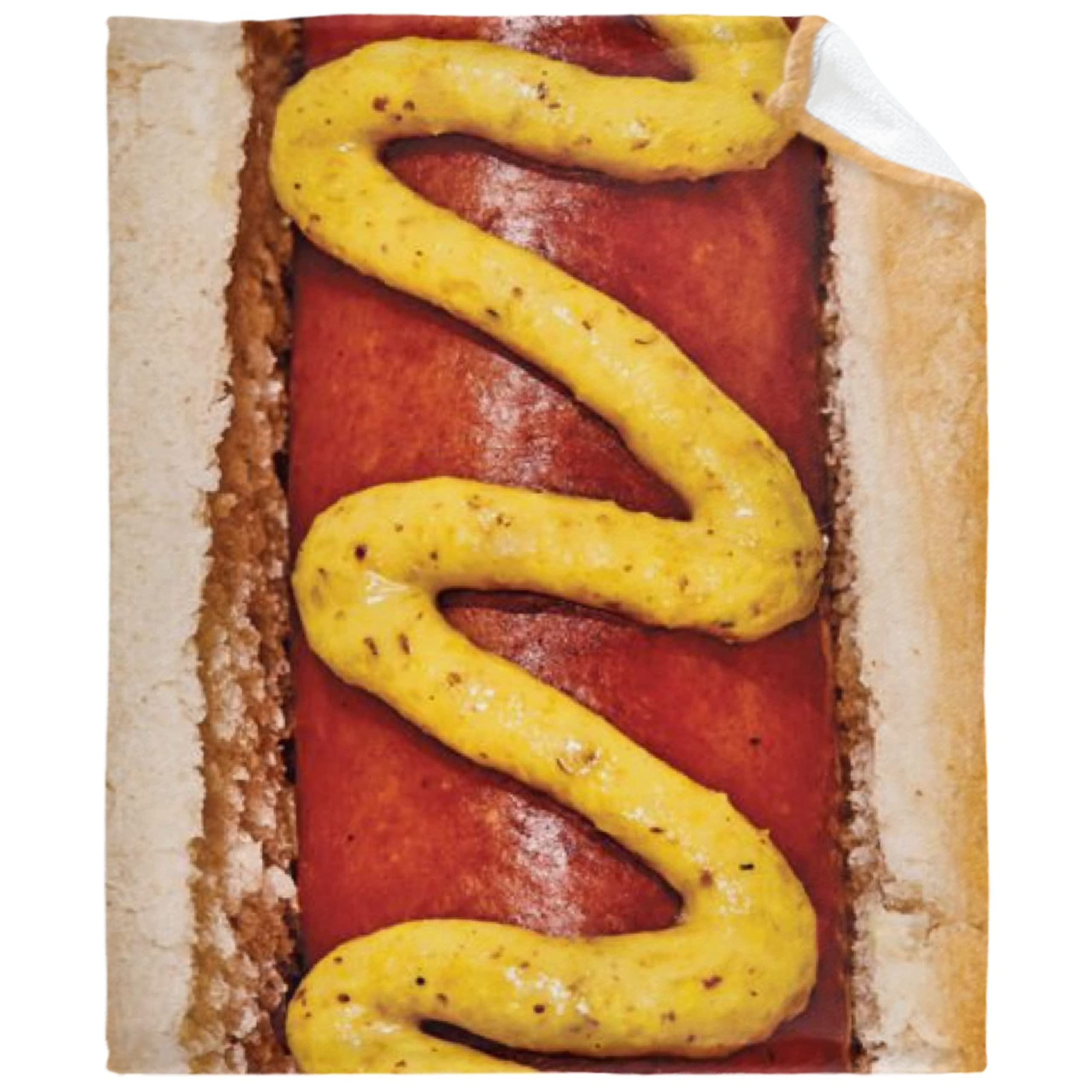 Food Sandwich Texture 3D Realistic Novetly Funny Breakfast Ulta Soft Fleece Flannel Blankets Birthday Throw Blanket Bedding Outdoor Cover Picnic Couch Twin-60x50In Teens/Travel