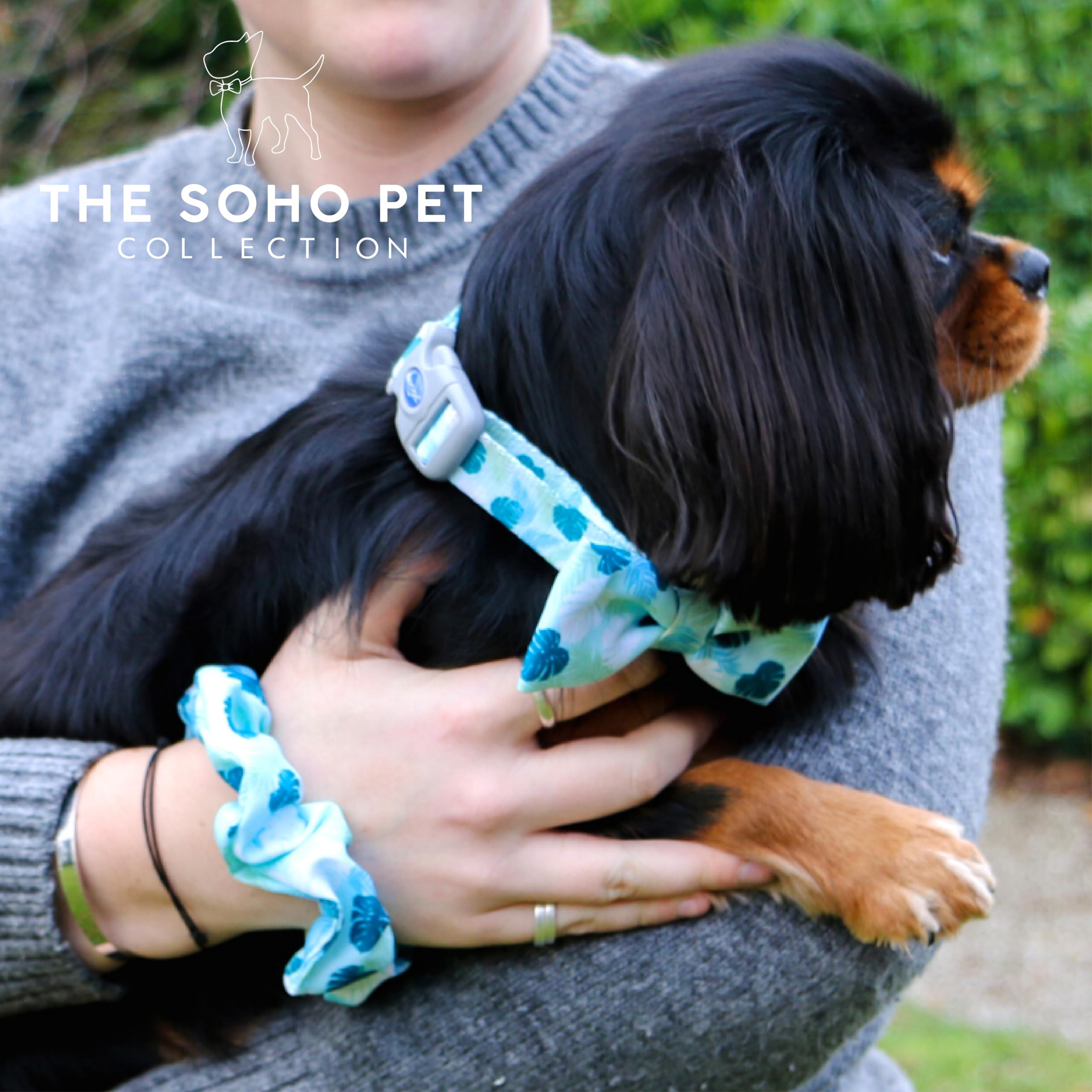 Ancol Dog Poop Bag and Scrunchie Leaf Patterned - Sturdy Waste Bag Dispenser - Cute Puppy Matching Pet Accessories - Image 3