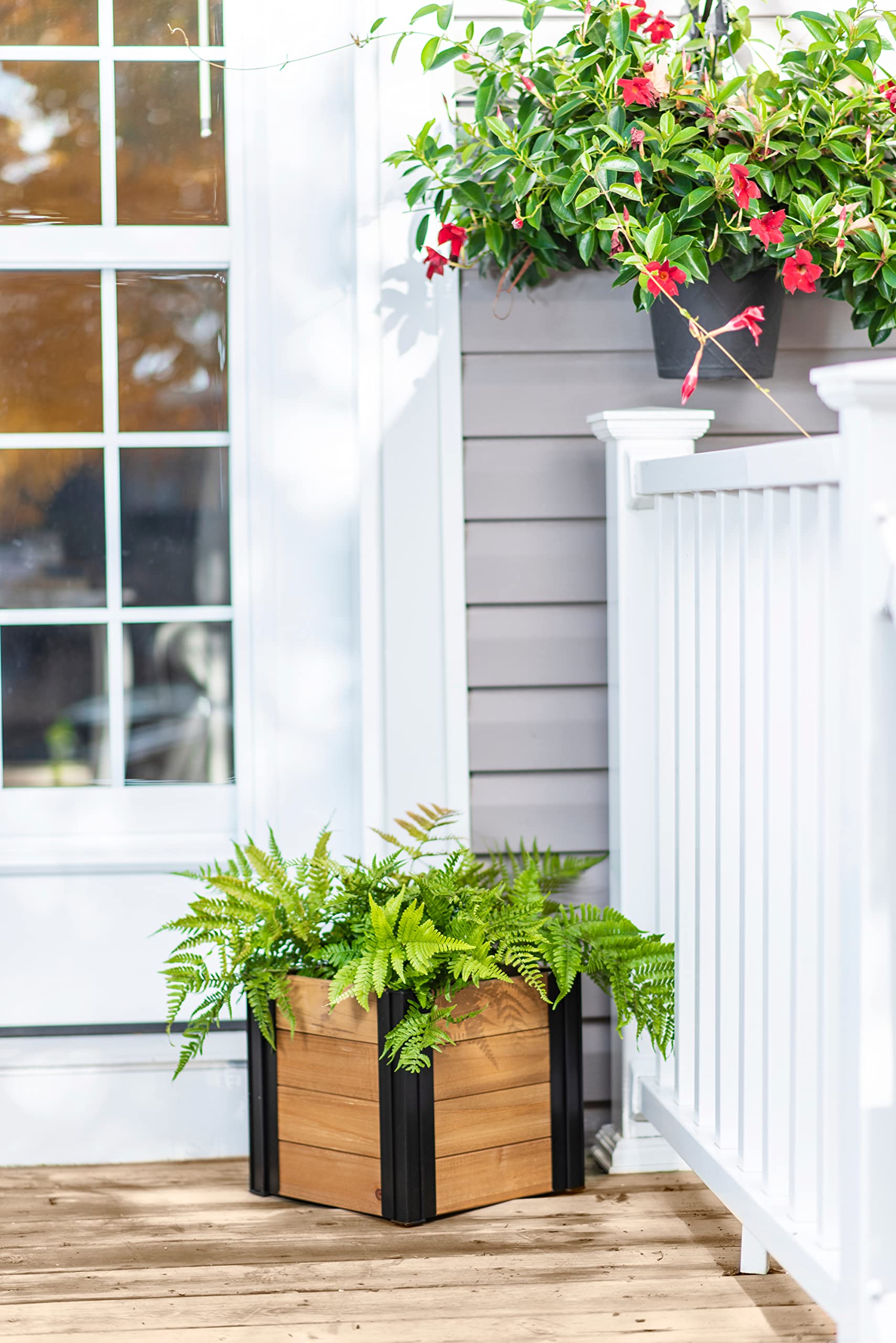 Amazon.com: Vita: Planters