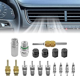 Air Conditioning Valve Core Kit for R12 or R134a | Teflon Seal Refrigeration A/C Air Conditioning Service Valve Car & HVAC AC Charging Port Seal Caps Kit (A/C System Cap & Valve Seal Kits)
