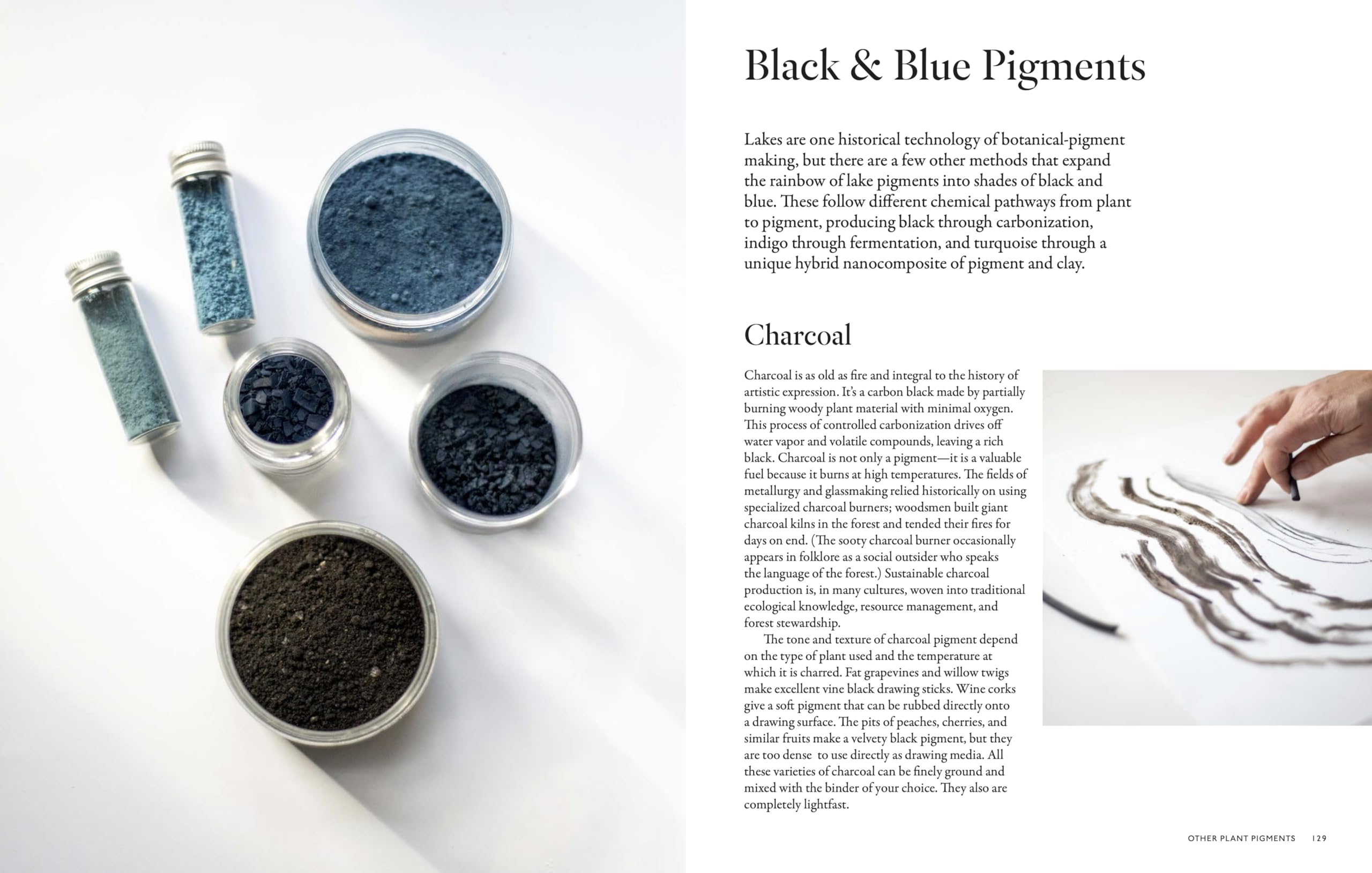 From Plant to Pigment: How to Make Your Own Vibrant Inks, Pastels and Paints