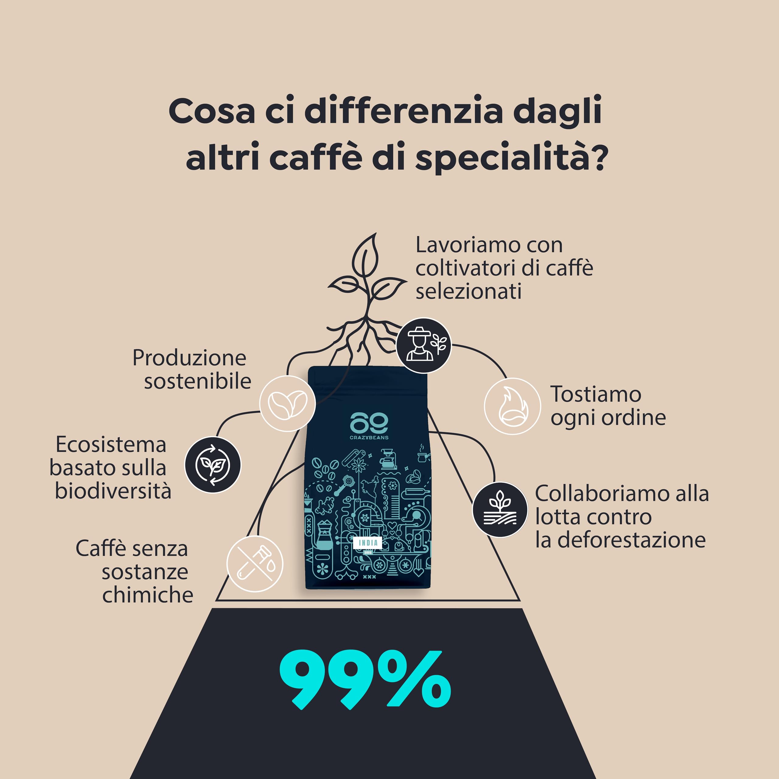 Chicchi di caffè speciali | Indian Sarchimor | 100% Arábica | Natural | 84 puntos SCA | Chikmagalur,Karnataka | 500g | 69 CrazyBeans Specialty Coffee | Chicchi di caffè Arabica naturale