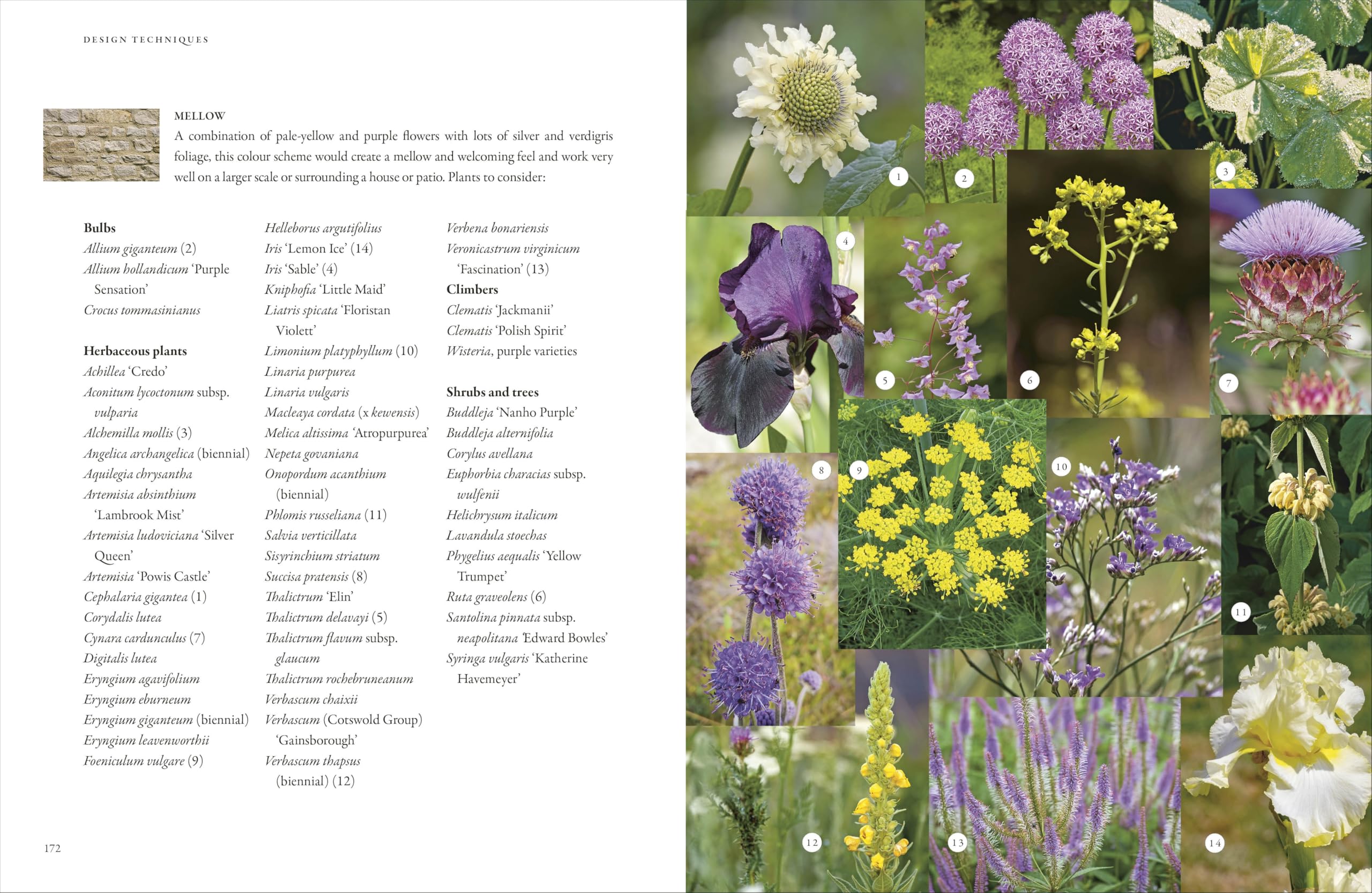 In Nature's Slipstream: How to Turn Your Garden into a Haven for Nature