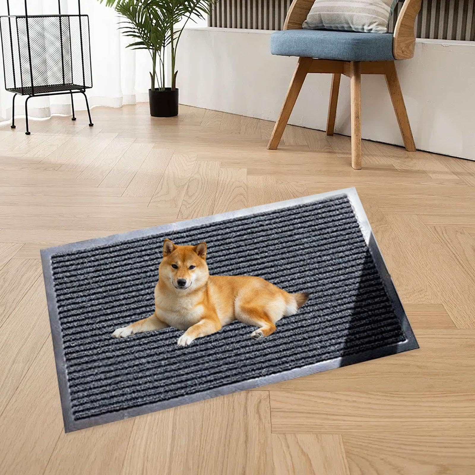 Welcome Doormat Absorbente Bajo Profile para Entrada Y,60x90cm