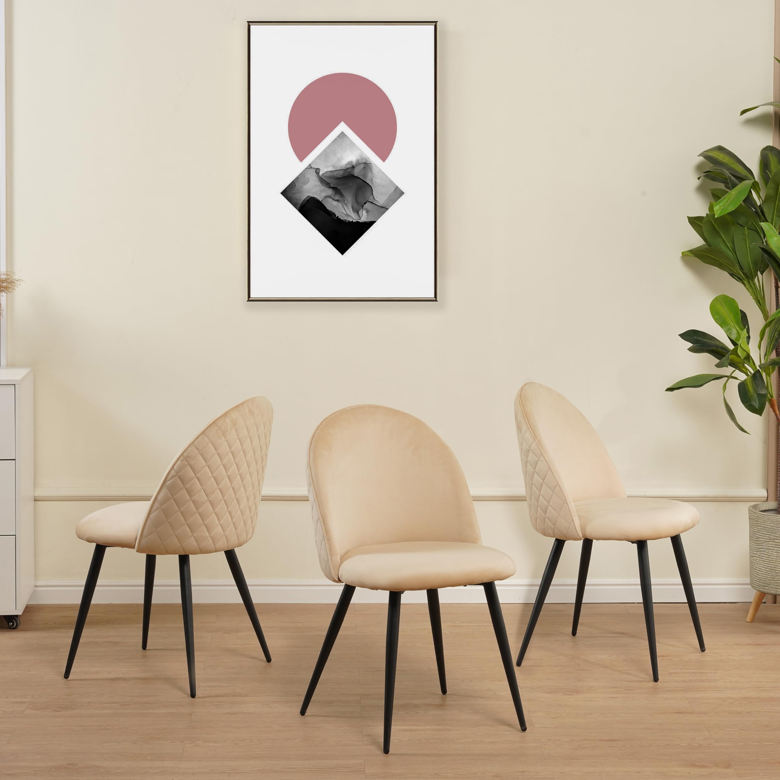 Albatros - Set di 4 sedie da sala da pranzo con rivestimento in velluto, stile vintage, rivestimento in velluto, con imbottitura certificata SGS – moderna sedia da cucina