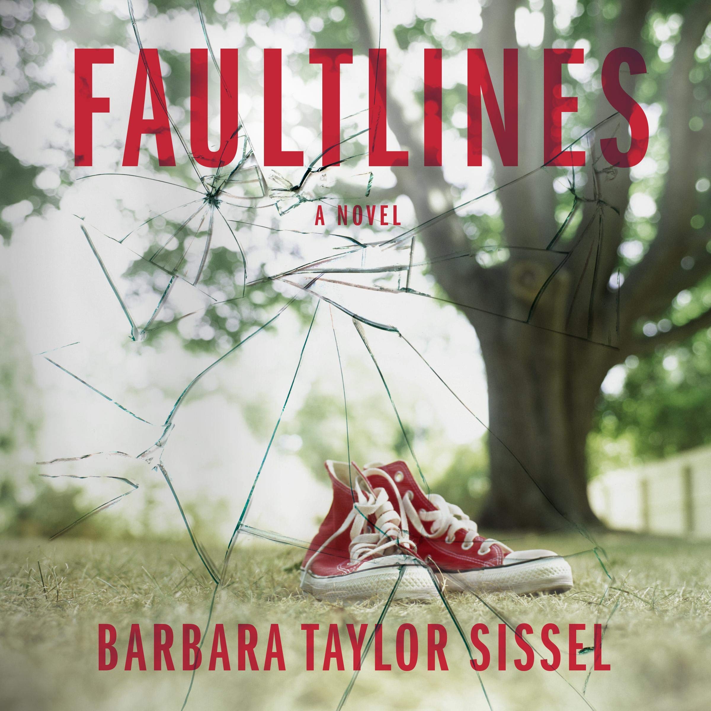 Cover art for Faultlines