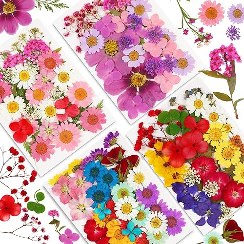 Augshy 141 flores secas prensadas para resina, flores secas naturales reales prensadas para manualidades, moldes de resina, álbumes de recortes, 5