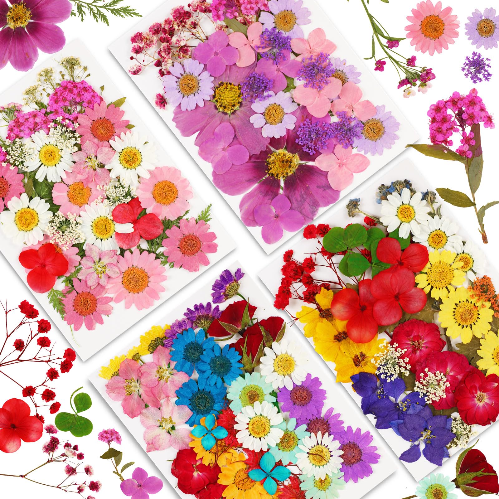 Augshy 141Pcs Dried Pressed Flowers for Resin, Natural Dried Flowers Real Pressed Flower for Crafts, Resin Mold Scrapbooking, Candle, Soap Making DIY, Epoxy Resin Supplie
