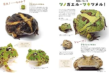 81kSooyXpqL._AC_UF350,