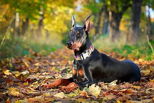 Miniatura 2 de Lindo collar para perros XS, pequeños, medianos y grandes, collar de nailon suave para mascotas, estampado 3D multicolor, collares ajustables para