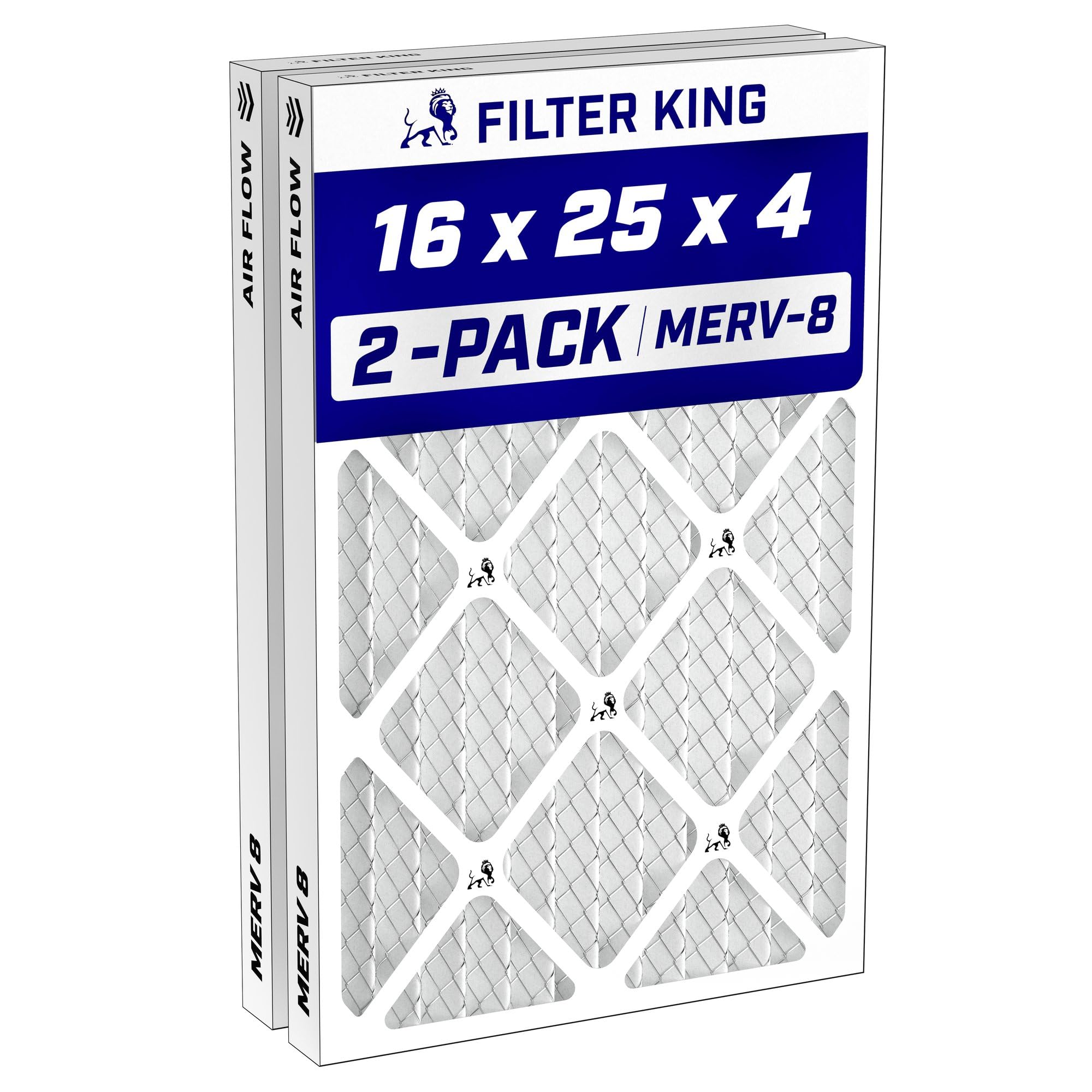 Filter King 16x25x4 Air Filter MERV 8 2-Pack