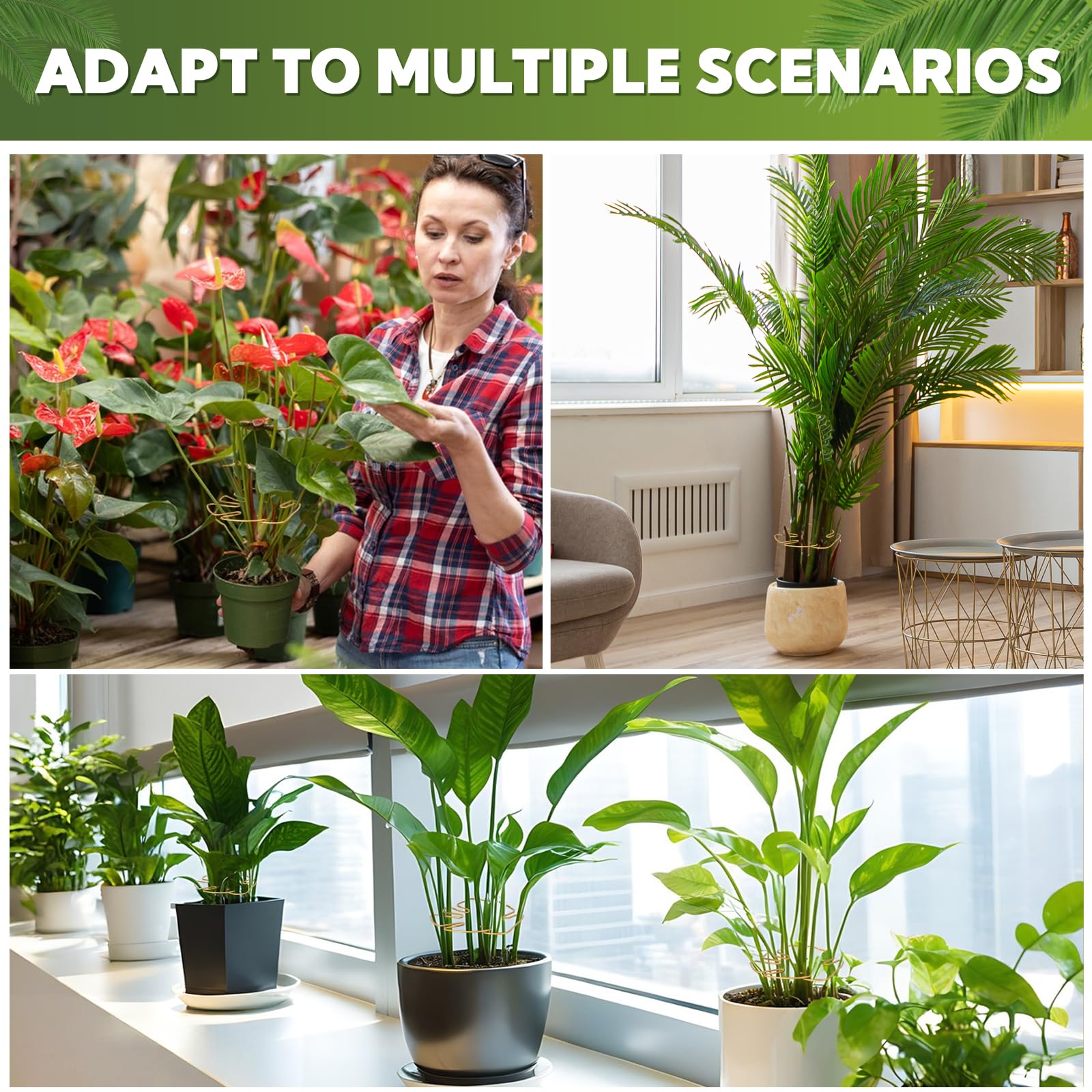 Monstera Lot de 6 supports de tige pour plantes d'intérieur, design unique pour plantes grimpantes, ensemble de pinces en bambou en coquillage de tortue, support parfait pour une croissance