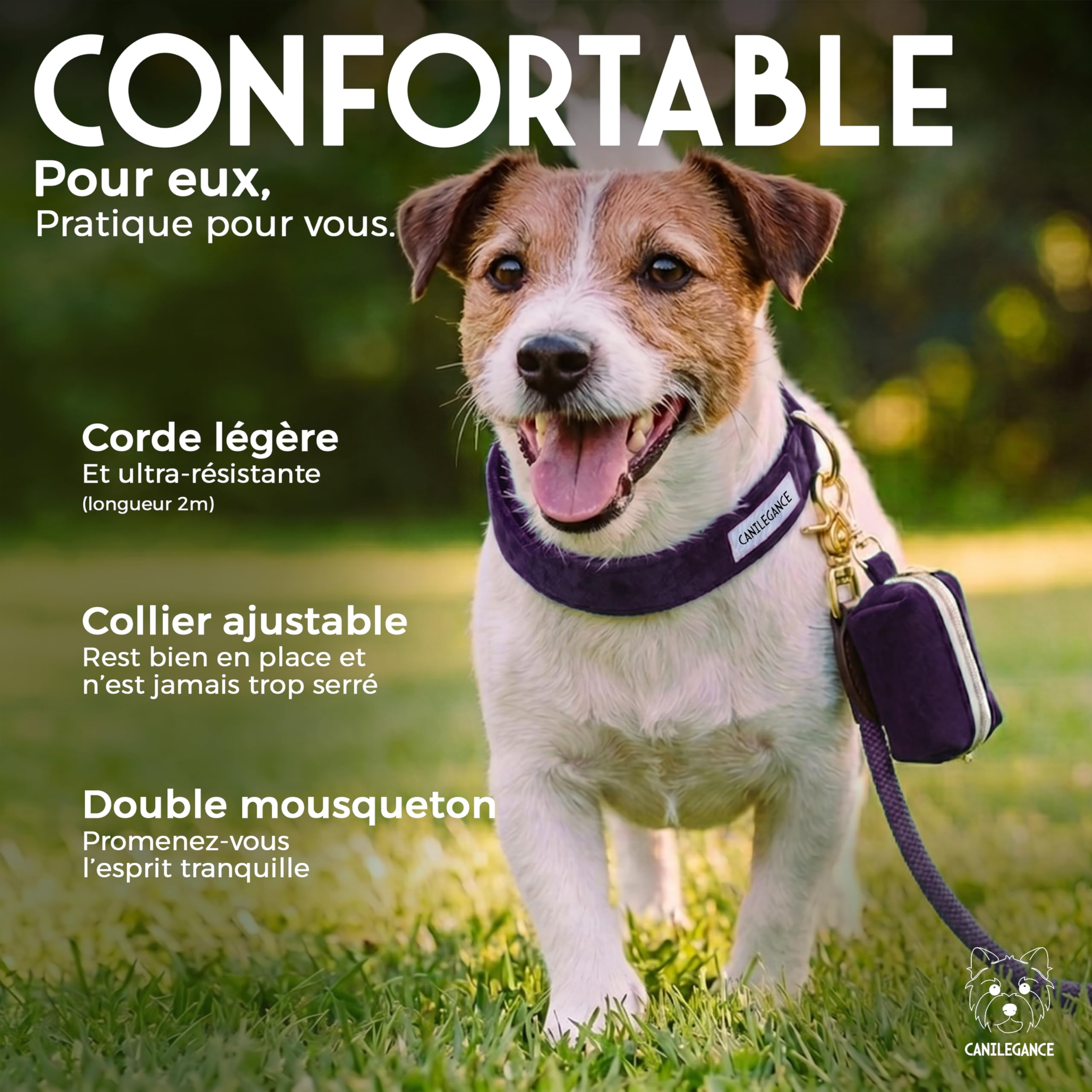 Set de Promenade pour Chien Collier Réglable Laisse 4-en-1 Porte-Sachet Violet Taille L Tour de Cou 39-59 cm Lavable en Machine