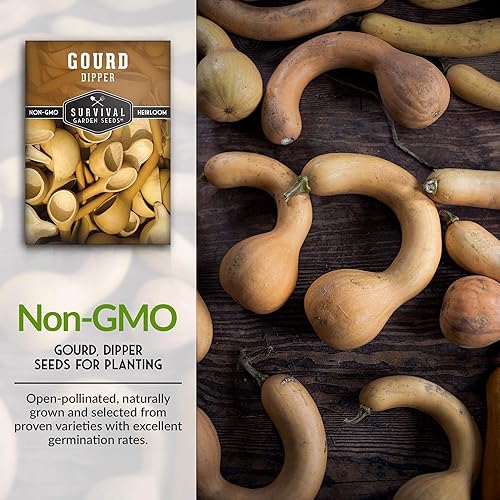 Miniatura 2 de Paquete de 2 semillas de calabaza para plantar  Paquete con instrucciones para cultivar calabazas de pajarera en tu huerto casero  Variedad de