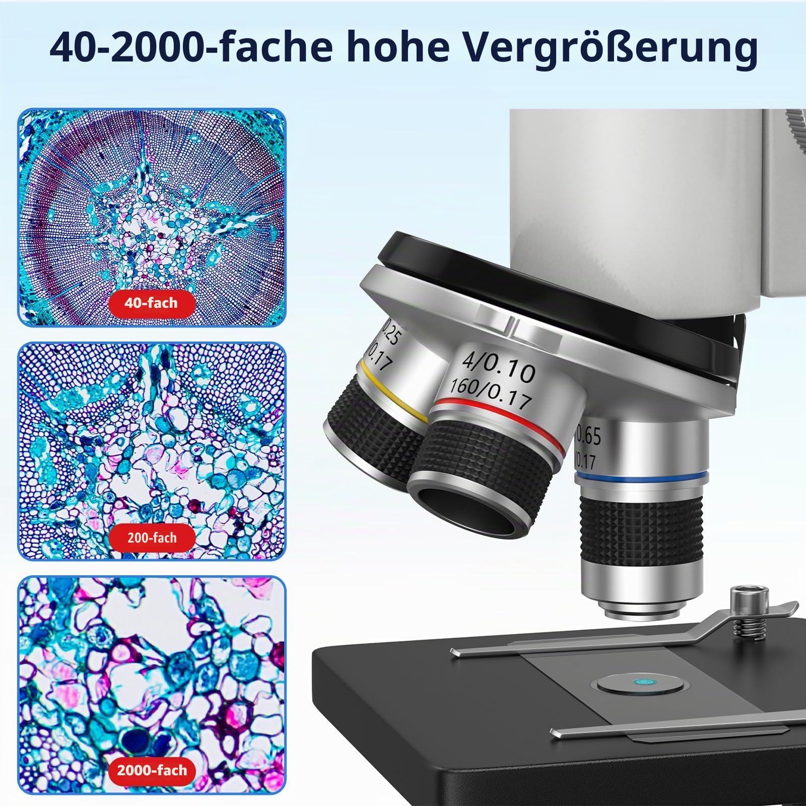 Mikroskop für Kinder Erwachsene Anfänger: 40-2000X Compound Biologie Mikroskop mit Slide Kit und Aufbewahrungskoffer - für Science Explore Education