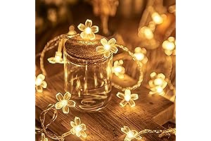 Flower Fairy Lights: Enchanting Indoor String Lights for Captivating Occasions