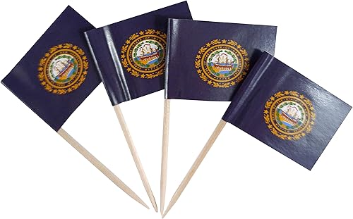 Vista 76 de JBCD Banderas pequeñas de Alaska para cupcakes de Alaska (100 piezas)