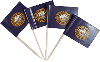 JBCD New Hampshire Toothpick Flag Mini Small Cupcake Topper Flags, 100 pcs